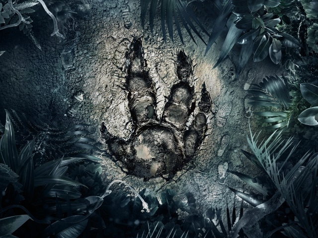 След загадочного зверя