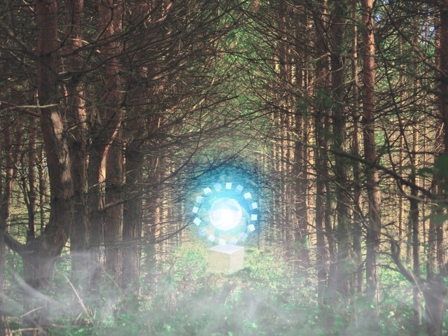 Временной портал посреди леса