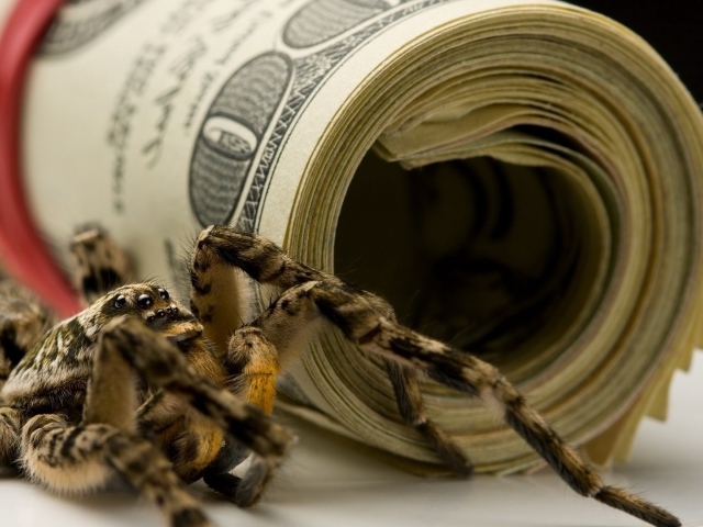 Паук и пачки долларов