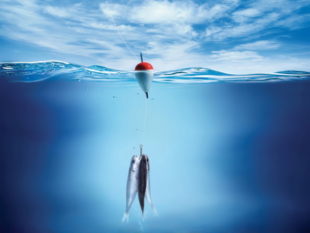 Три рыбы на крючке