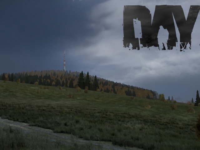 Компьютерная игра DayZ