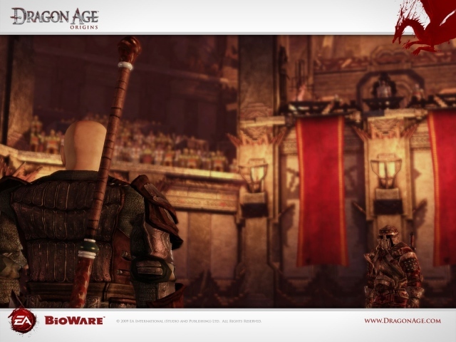 Компьютерная игра Dragon Age Origins