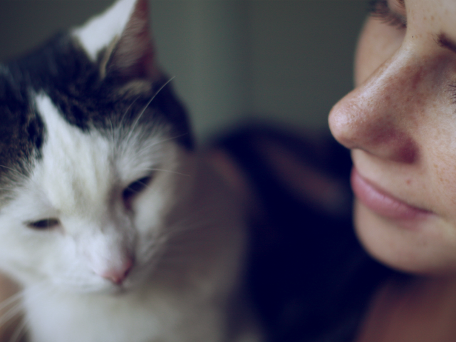 Девушка смотрит на своего кота с любовью