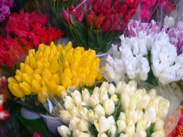 Букеты красивых тюльпанов на 8 марта