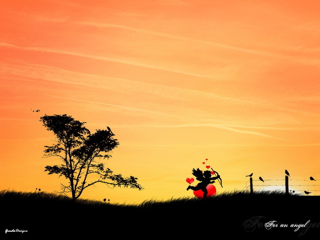 Амур и птицы