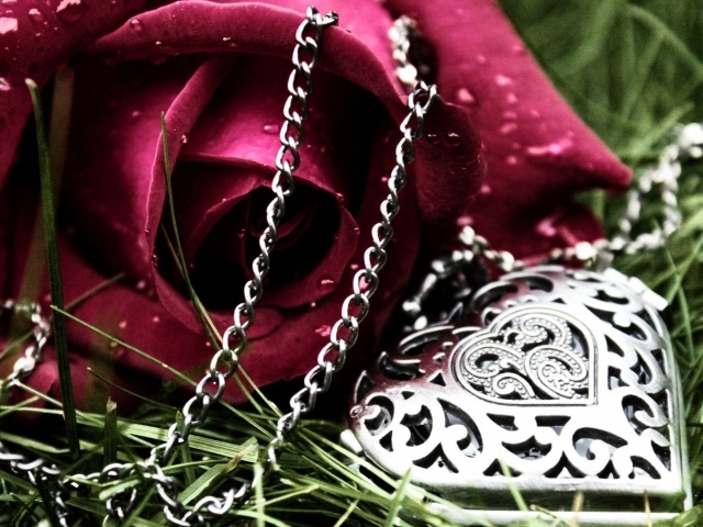 Роза и кулон в форме сердца