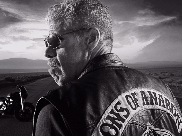 Байкер на дороге, Сыны анархии