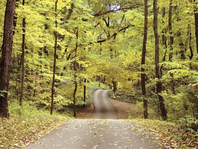 Велосипедная дорожка в осеннем парке