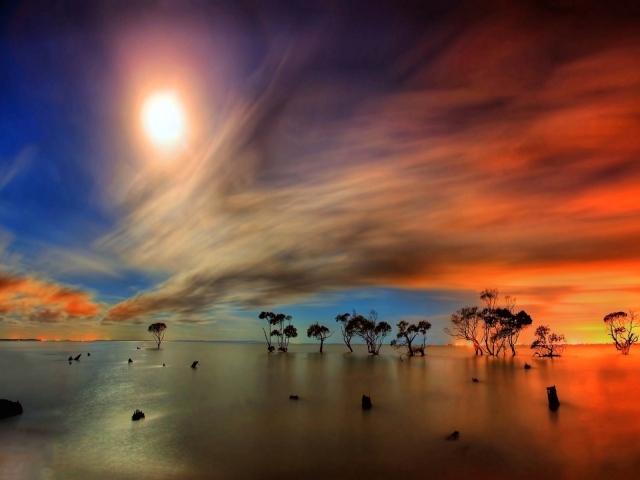 Сухие деревья в воде под оранжевыми облаками