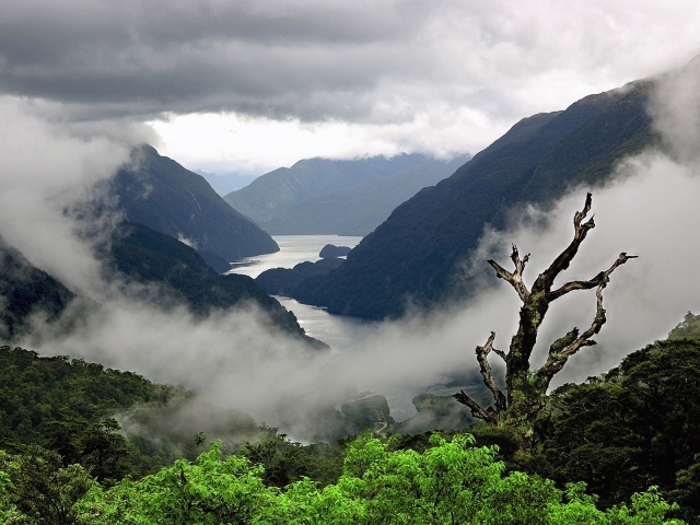 Туман стелется среди холмов