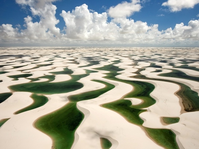 Зеленая вода на белом песке