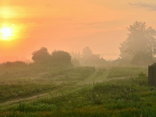 Туманный рассвет в деревне