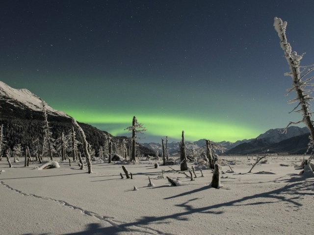 Северное сияние над снежной пустыней