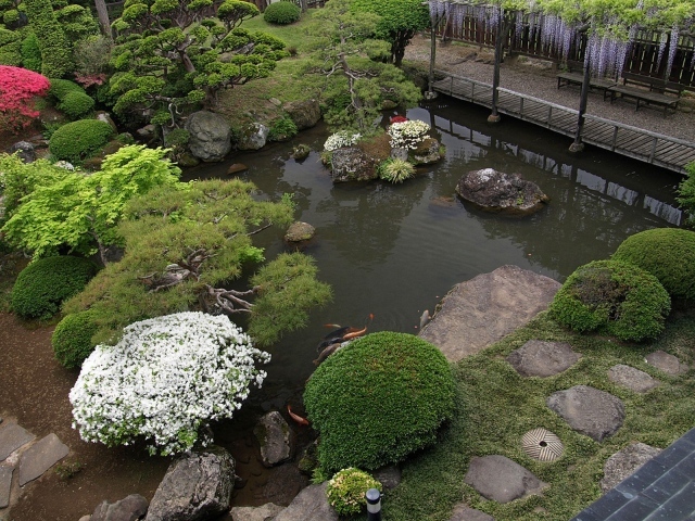 Пруд с растениями в саду