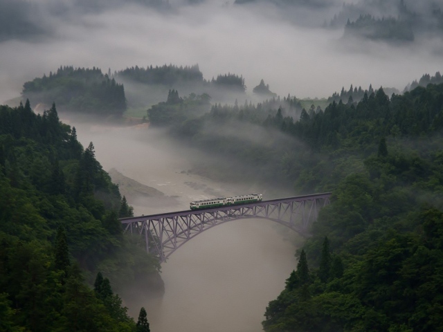Железнодорожный мост в виде арки над зеленым лесом и рекой