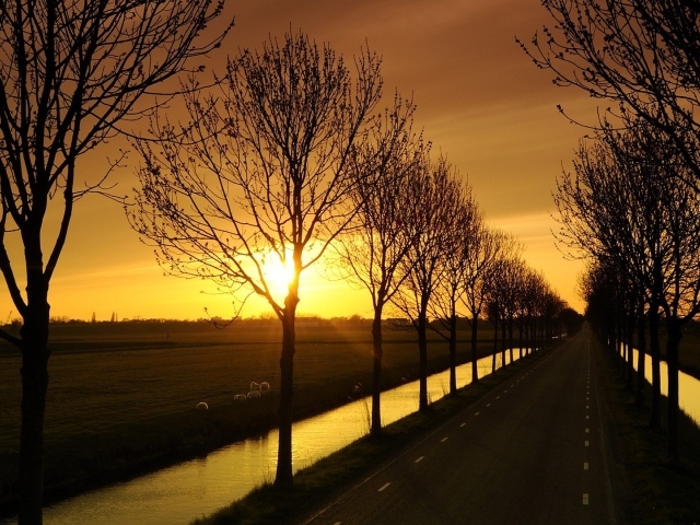 Дорога с каналами по краям