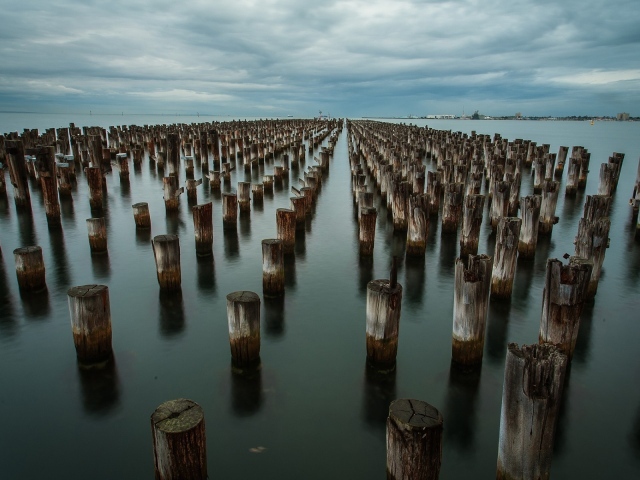 Ряды деревянных свай в воде