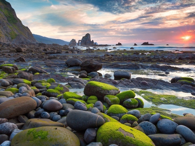 Гладкие камни на берегу моря