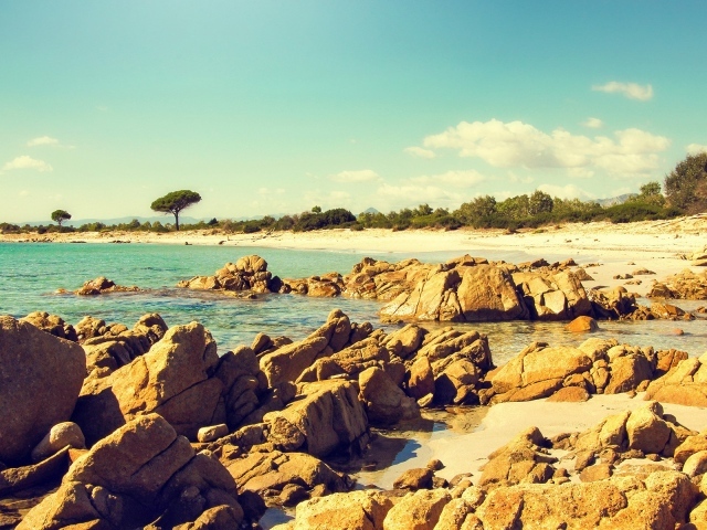 Коричневые камни и скалы на берегу моря