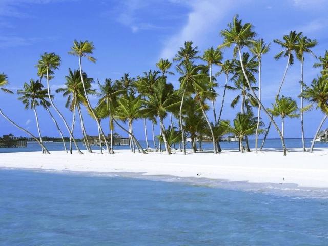 Пальмы на белоснежном песке