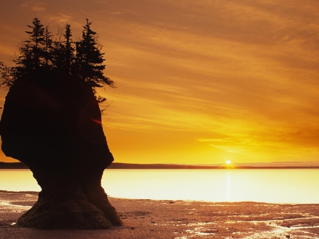 Скала с растениями на пляже