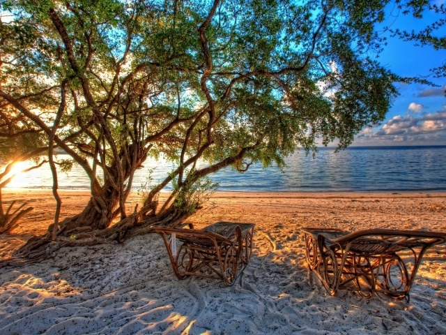 Шезлонги из лозы на пляже под деревом