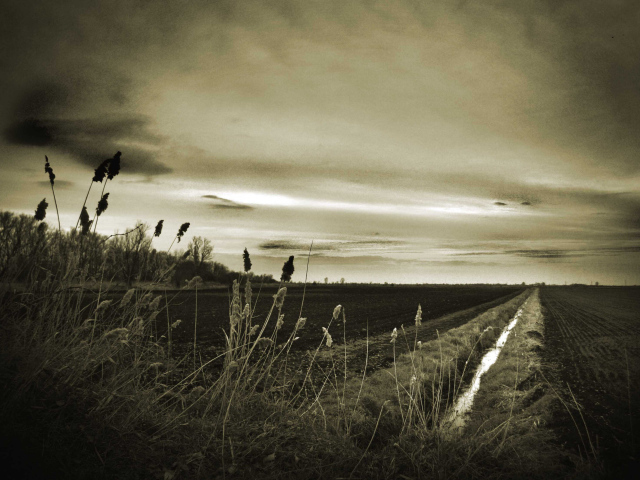 Оросительный канал