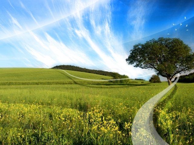 Белая линия на поле