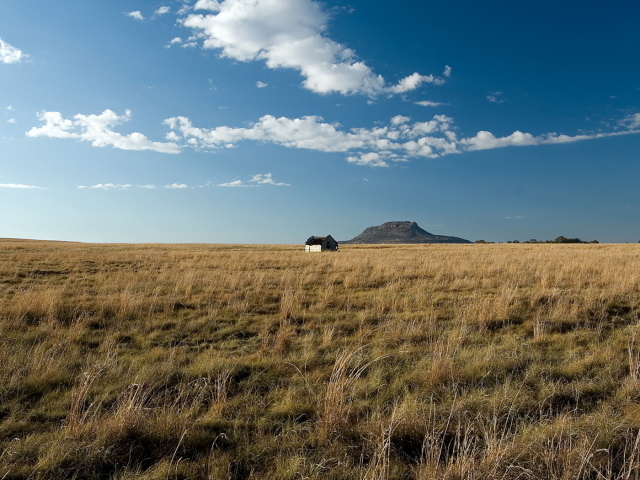 Одинокий дом посередине поля