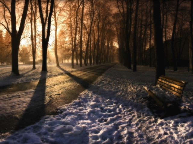 Вечер в заснеженном парке