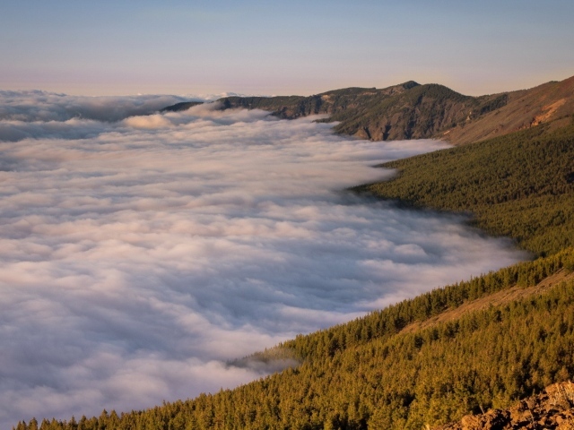 Туман в долине