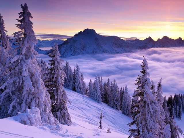 Волшебный зимний пейзаж в горах