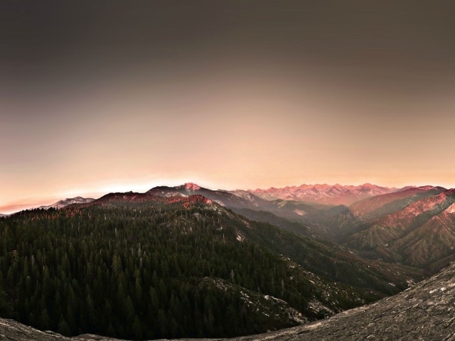 Поросшее хвойным лесом плоскогорье