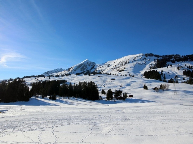 Лыжная трасса в горах