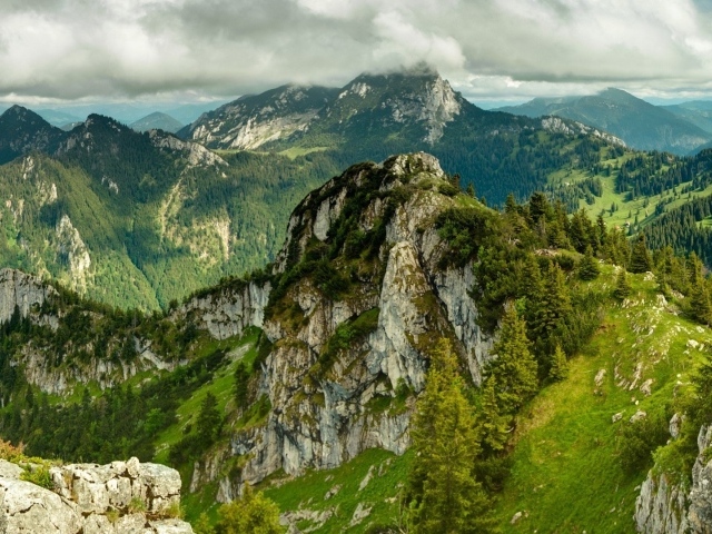 Каменная гора поросла лесом