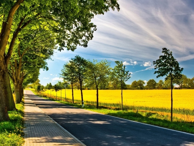 Аккуратная дорога по краю желтого поля