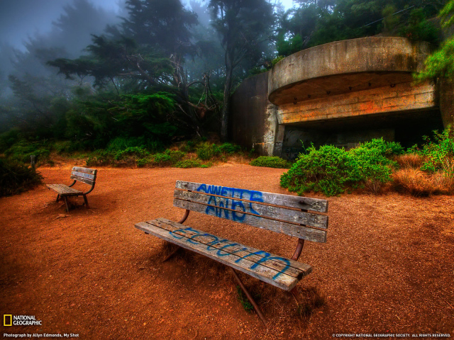 Надпись на скамейке