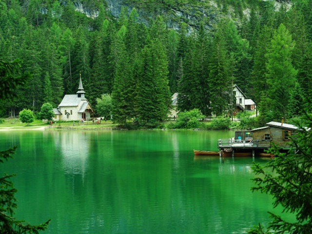 Хвойные деревья вокруг зеленого озера