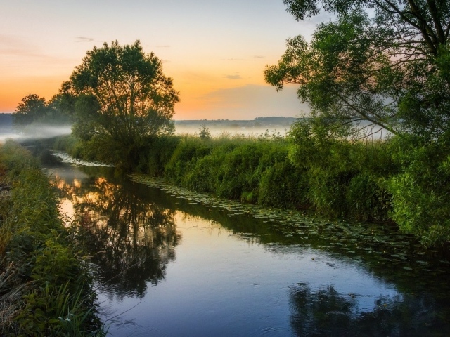 Туман над маленькой рекой