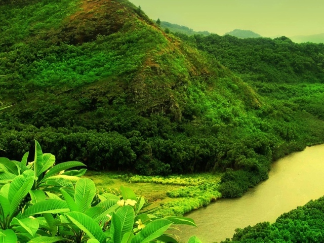 Мутная река в джунглях