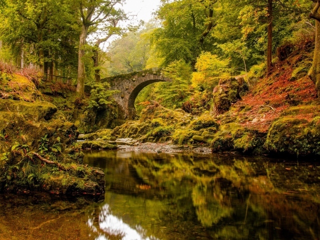 Старинный каменный мост над спокойной рекой в лесу