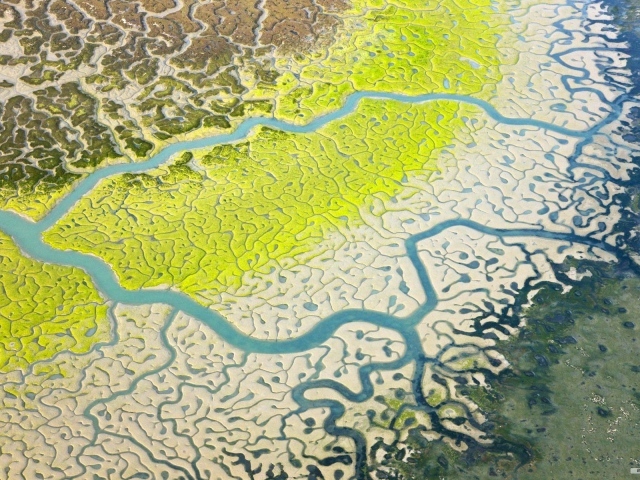 Снимок дельты реки из космоса