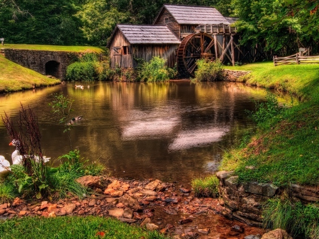 Пруд у деревянной мельницы