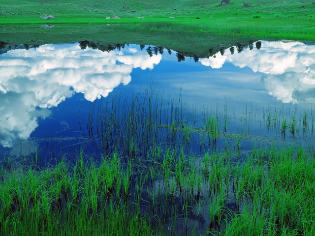 Зеркальное изображение в озере