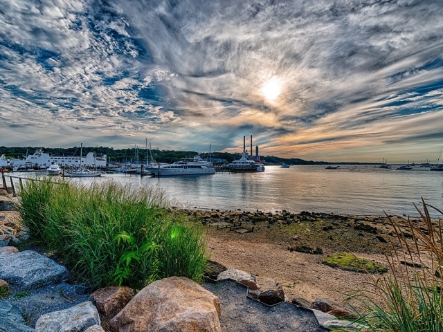 Пучок травы на берегу морского залива