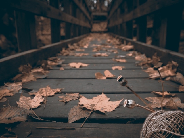 Осенние листья на деревянном мосту