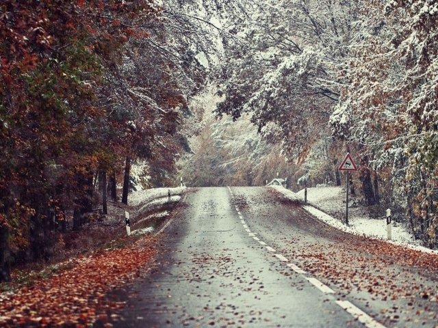 Встреча зимы и осени на обочинах дороги