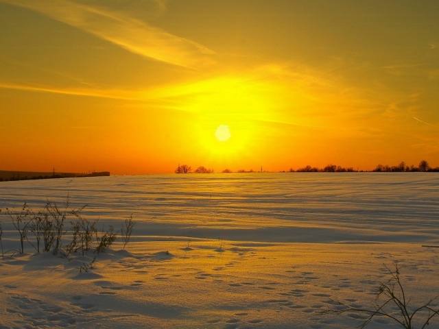 Солнце клонится к закату над заснеженным полем