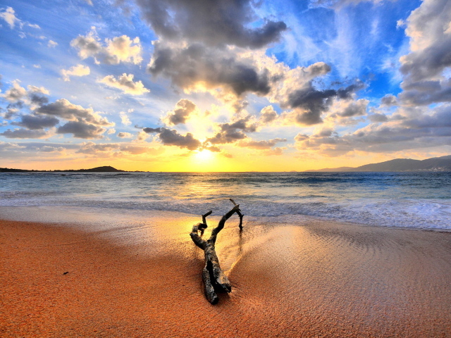 Закат на пляже с веткой