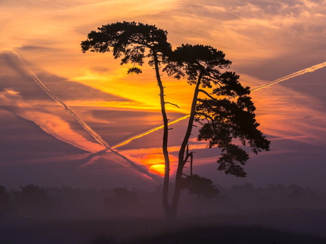 Следы самолетов на закате